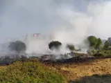 Incendio en la Vaguada del Parque de Las Llamas (Santander).