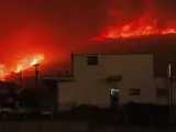 Las llamas calcinan el bosque en la ciudad de Alexandroupolis, en la región de Evros.