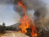 Los árboles ardes en Kirkis, en la región de Evros.