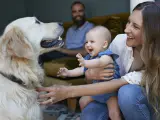 Unos padres presentan a su hijo a un perro.