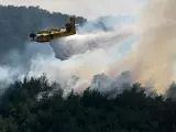 Un avión de extinción de incendios opera en el bosque de Dadia.