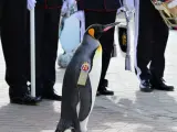 Un pingüino ha sido ascendido al tercer rango más alto de las Fuerzas Armadas noruegas. Se trata del General de División Sir Nils Olav III, Barón de las Islas Bouvet, el pingüino más condecorado del mundo.