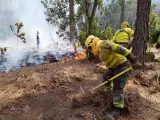 Agentes forestales en el incendio de Tenerife.