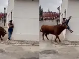 Un toro arrolla a una persona en las fiestas de un pueblo de Madrid que estaba distraída con el móvil