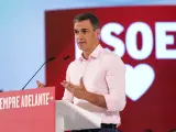 El secretario general del PSOE, Pedro S&aacute;nchez, en un mitin de apertura del curso pol&iacute;tico en M&aacute;laga.