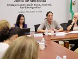 La consejera de Igualdad de la Junta de Andalucía, Loles López (centro), preside la reunión de balance de las comisiones provinciales contra la violencia de género.