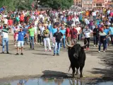 El Toro de la Vega, este martes en Tordesillas.