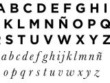El abecedario espa&ntilde;ol consta de 27 letras, con 5 vocales y 22 consonantes. Sin embargo, hasta 1994, su n&uacute;mero ascend&iacute;a a 29, cuando estaban incluidos los d&iacute;grafos 'ch' y 'll'.