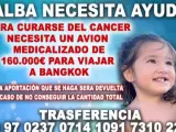 Campaña de recaudación de fondos publicada por los padres de la pequeña Alba.