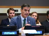 El presidente del Gobierno, Pedro Sánchez, este martes en la sede de la ONU en Nueva York.