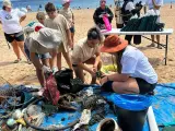 Retiran 165 kilos de residuos en la playa de Las Teresitas (Tenerife)