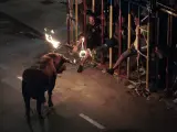 Momento del festejo de toro embolado en Valencia.