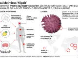 El virus Nipah, unas de las enfermedades que teme ahora la OMS