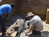 Expertos en la excavación arqueológica.