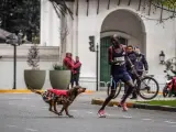 El corredor keniata Ngeno huye del perro que le atacó en Buenos Aires.
