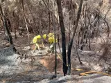 Brigadas Forestales del Cabildo de Tenerife intervienen en las labores de extinción del incendio de Tenerife.