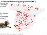 Focos de Enfermedad Hemorr&aacute;gica Epizo&oacute;tica, en Espa&ntilde;a en 2022 y 2023.