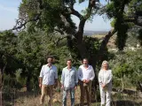El presidente de la Junta de Andalucía, Juanma Moreno, presenta el Proyecto LIFE CO2RK en el Parque Natural de los Alcornocales en Alcalá de los Gazules (Cádiz).