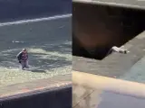 Un hombre se arroja al vacío por el monumento del 11S en Nueva York