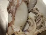 Imagen del calamar que llevaba 'sorpresa' dentro.