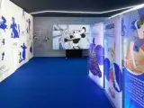 Disney celebra su 100 aniversario en Madrid con una exposición interactiva: fecha, lugar, horario y entradas