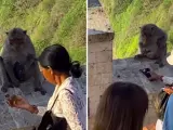 Capturas del vídeo viral de un mono que le roba el móvil a una turista en Bali.