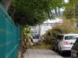 El árbol caído sobre el coche.