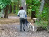 Un perro de paseo junto a su tutora.