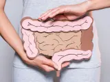 El intestino está considerado como el segundo cerebro.