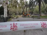 Actuaciones de Parques y Jardines ante los daños causado por la borrasca Bernard en Córdoba.