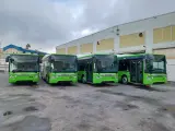 Cuatro de los cinco autobuses Urbanway Hybrid GNC que córdoba ha comprado a Iveco.