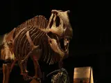 Exposición 'Dinosaurios de la Patagonia' en el Cosmocaixa