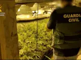 Un agente de la Guardia Civil en el sótano donde se ha localizado una plantación de marihuana y más de 700.000 cigarrillos de contrabando.