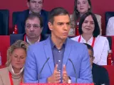El presidente del Gobierno en funciones y secretario general del PSOE, Pedro S&aacute;nchez, en el Comit&eacute; Federal de este s&aacute;bado.