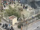 Nueve personas han resultado heridas no graves (siete de ellas menores) al caer un árbol en el patio de una escuela del barrio de Sant Andreu de Barcelona.