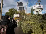 Un hombre saca una foto a un árbol caído en Plaza de Castilla.