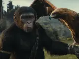 El chimpancé Cornelio en 'El reino del planeta de los simios'