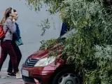 La borrasca Ciarán tiene consecuencias: ¿el seguro de coche cubre la caída de árboles?