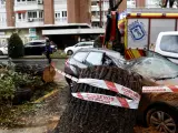 Los vientos huracanados de Ciarán tumban árboles y ramas en Madrid