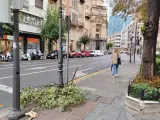 Ramas caídas en Bilbao por la borrasca Ciarán.