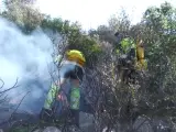 Imágenes de efectivos forestales que trabajan para sofocar el fuego en Montitxelvo (Valencia).