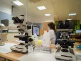 Laboratorio de investigación en Andalucía.