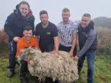 Rescatan a la oveja más solitaria del mundo: llevaba dos años aislada en una zona rocosa