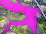 Un estanque se tiñe de rosa chicle en Hawái.