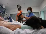 Un perro durante una de las terapias en el Hospital del Mar de Barcelona.