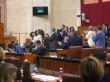 La bancada socialista aplaude la proclamaci&oacute;n de Pedro S&aacute;nchez como presidente del Gobierno en el pleno del Parlamento andaluz.
