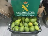 La Guardia Civil interviene casi 207 kilos de aguacates y papayas comercializados ilegalmente en Tenerife