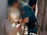 Un Guardia Civil del Seprona investiga a un perro.