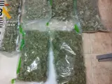 La Guardia Civil incautó seis bolsas herméticas con cogollos de marihuana.