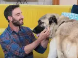 El actor y presentador Dani Rovira, con un perro en 'Un día de perros'.